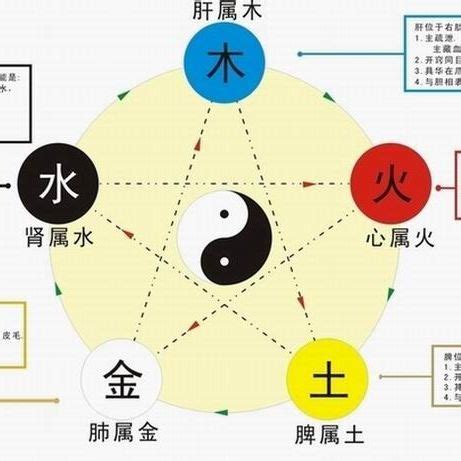 相生相剋|五行生剋(哲學理論):實質,特性,生克,劃分,物象歸類,相。